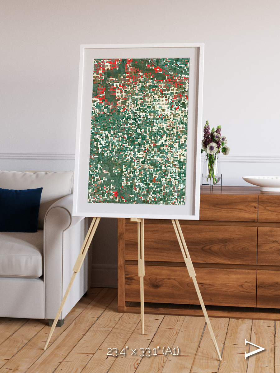 Patterns of Growth, Garden City Framed & Mounted Print