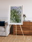 Earth in Colour, Namaqualand Framed & Mounted Print