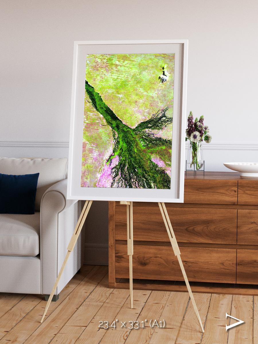Inland Bloom, Okavango Framed & Mounted Print