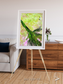Inland Bloom, Okavango Framed & Mounted Print