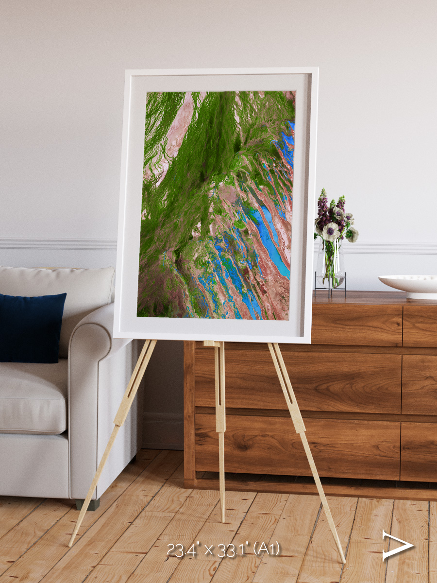 Desert Bloom, Lake Eyre Basin Framed & Mounted Print