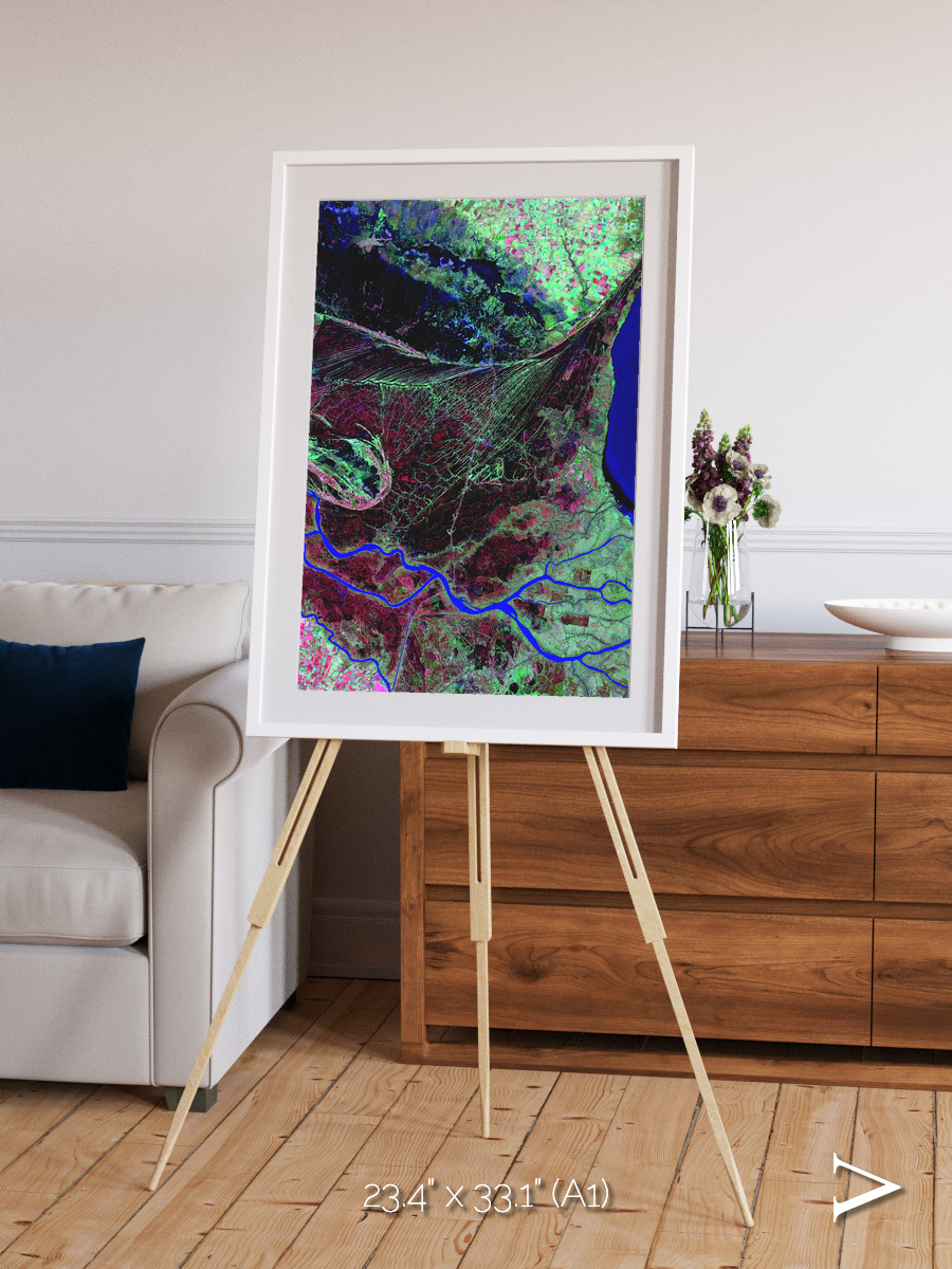 Braided Delta, Parana River Delta Framed & Mounted Print