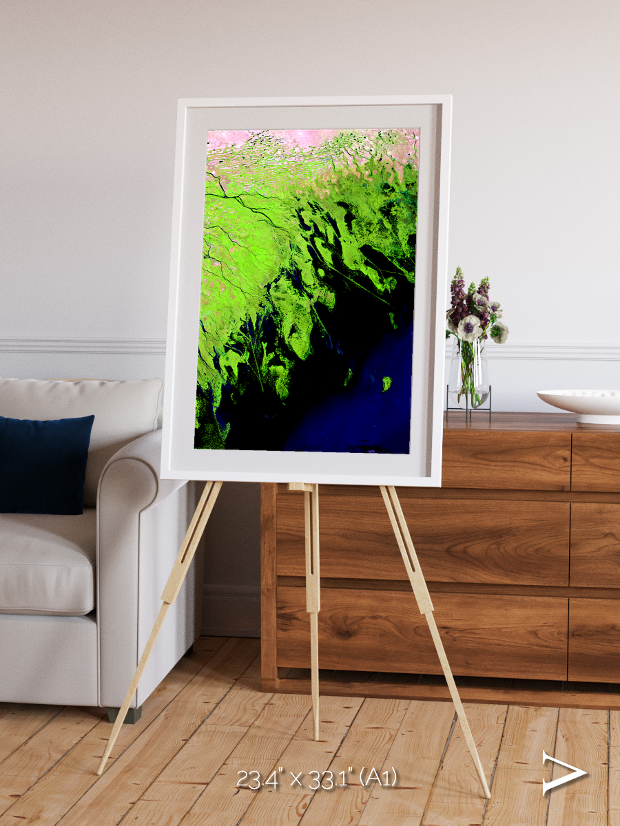 Delta Mosaic, Volga River Delta Framed & Mounted Print