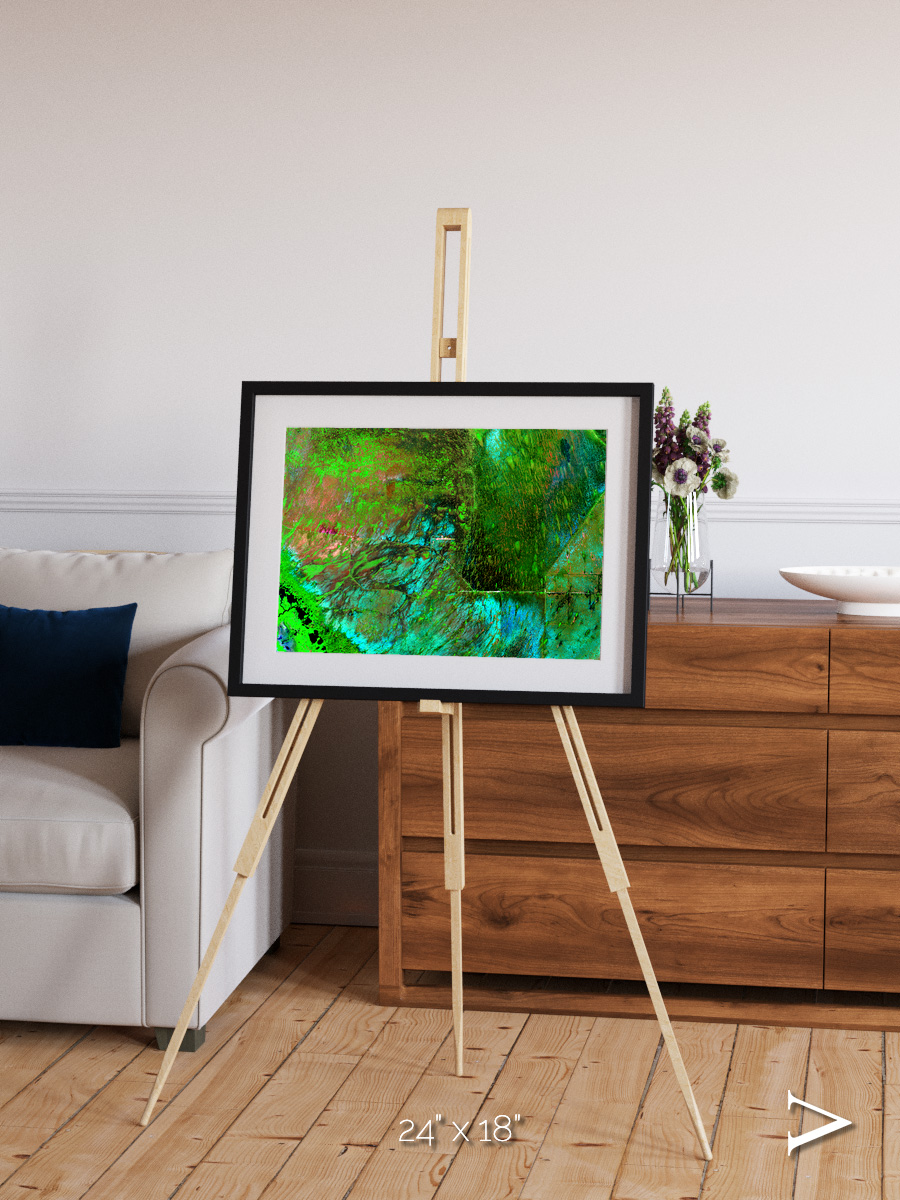 Linear Dunes, Florida Everglades Framed & Mounted Print