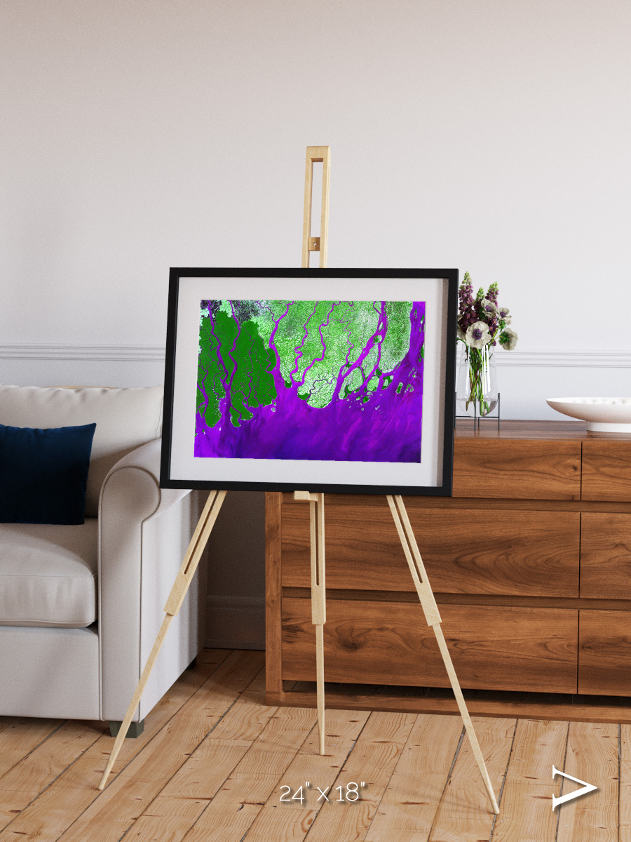 Delta Mosaic, Ganges River Delta Framed & Mounted Print