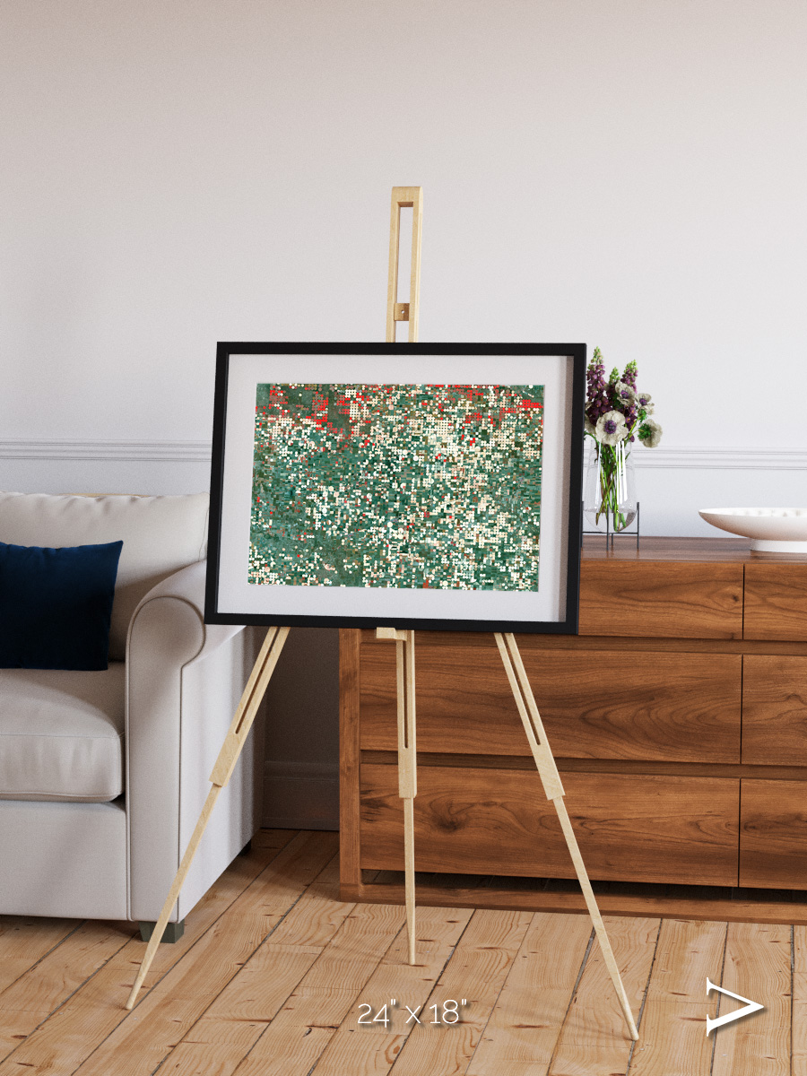 Patterns of Growth, Garden City Framed & Mounted Print