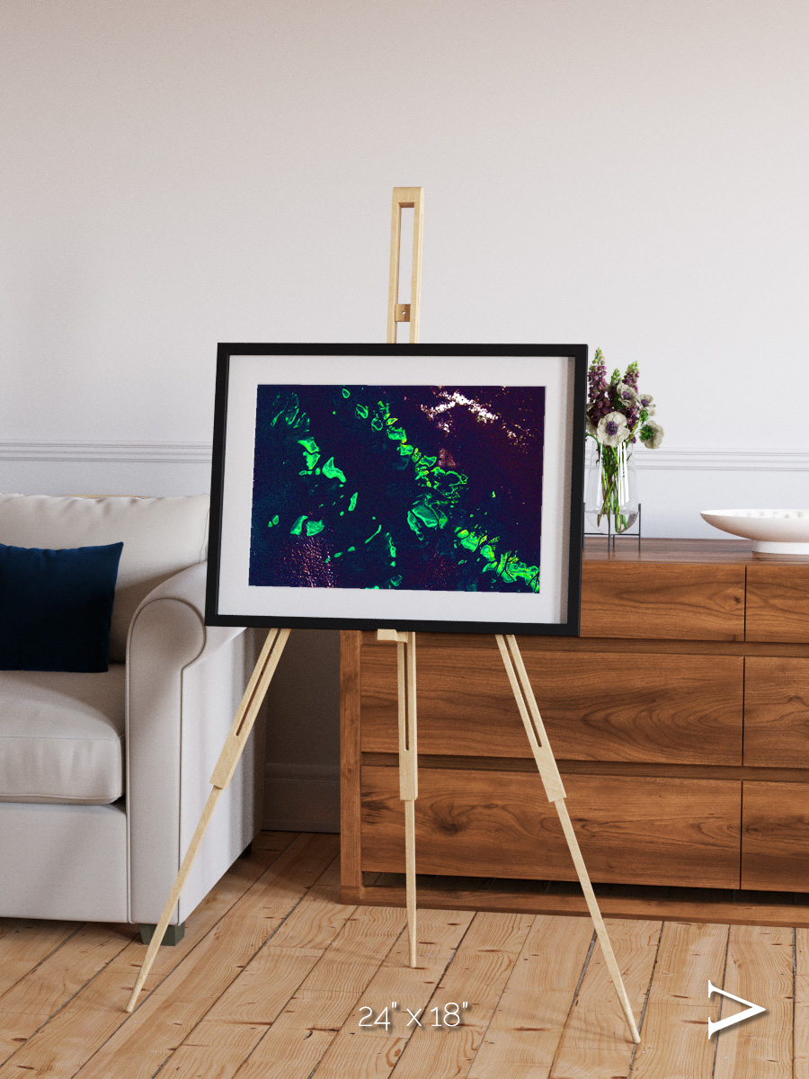 Patterned Ground, Great Barrier Reef Framed & Mounted Print