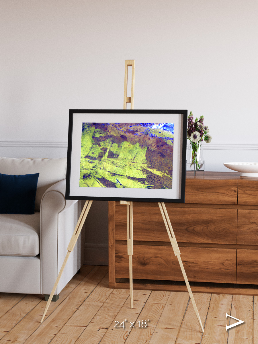 Lake Lines, Lake Amadeus Framed & Mounted Print