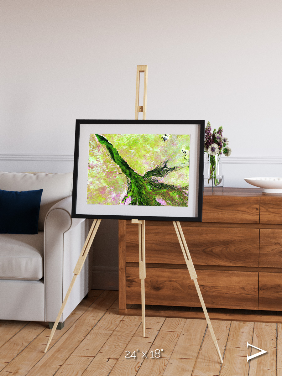 Inland Bloom, Okavango Framed & Mounted Print