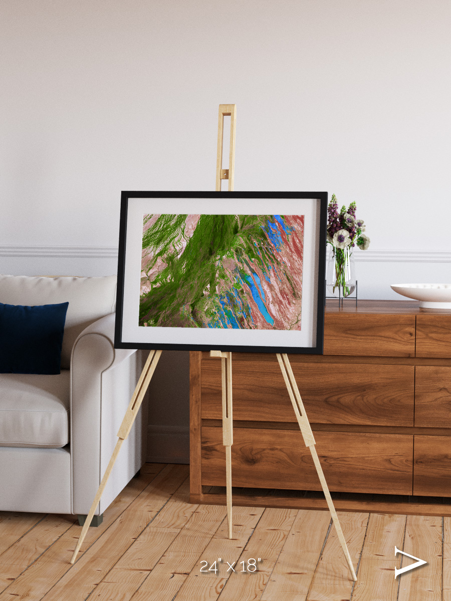 Desert Bloom, Lake Eyre Basin Framed & Mounted Print