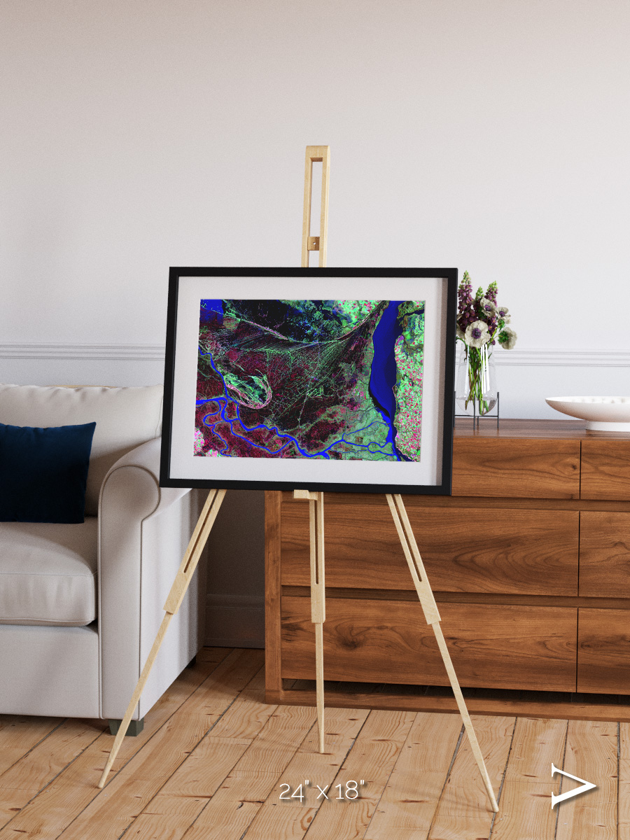 Braided Delta, Parana River Delta Framed & Mounted Print