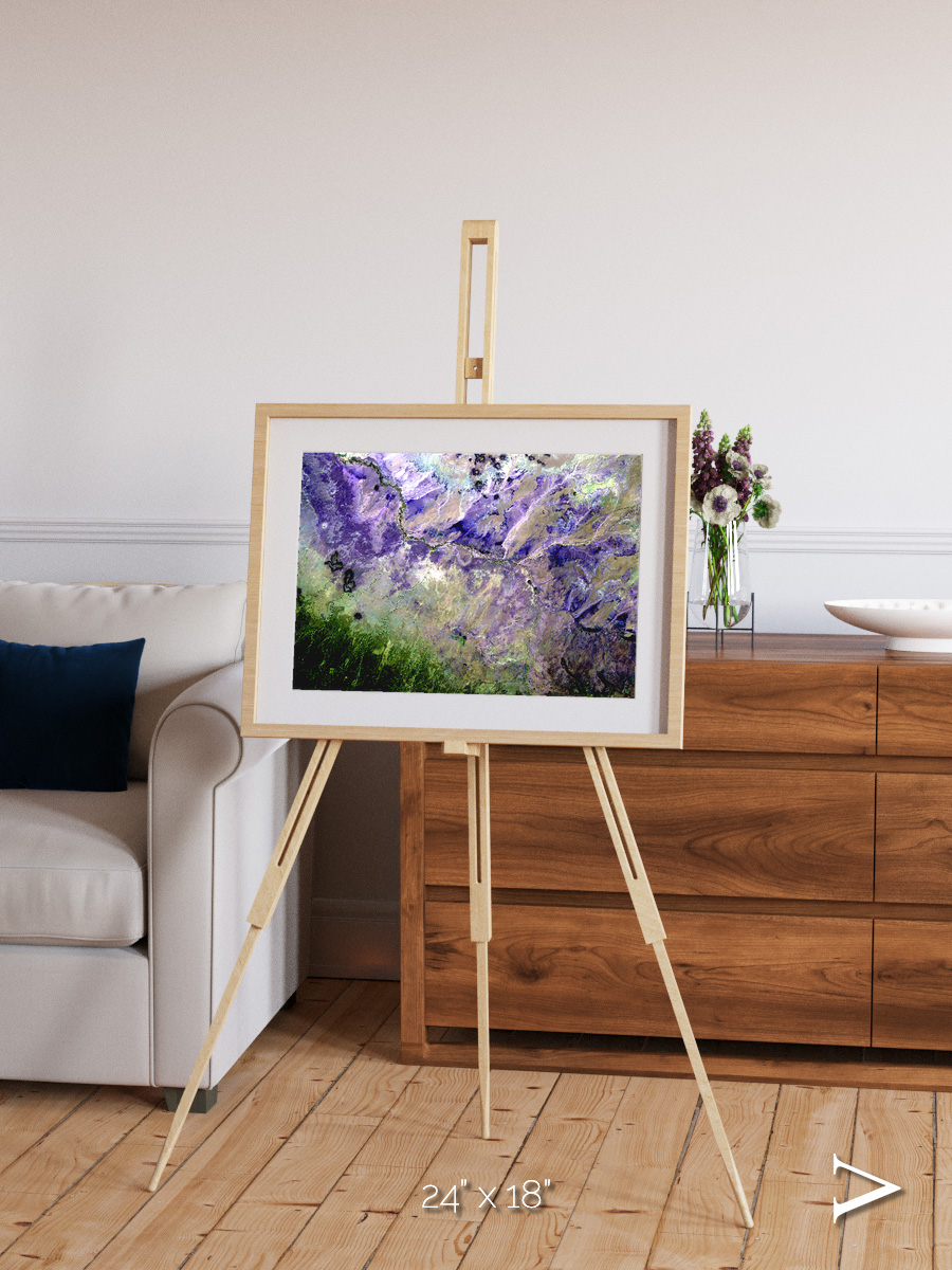 Arid Mosaic, Desert to Forest Framed & Mounted Print