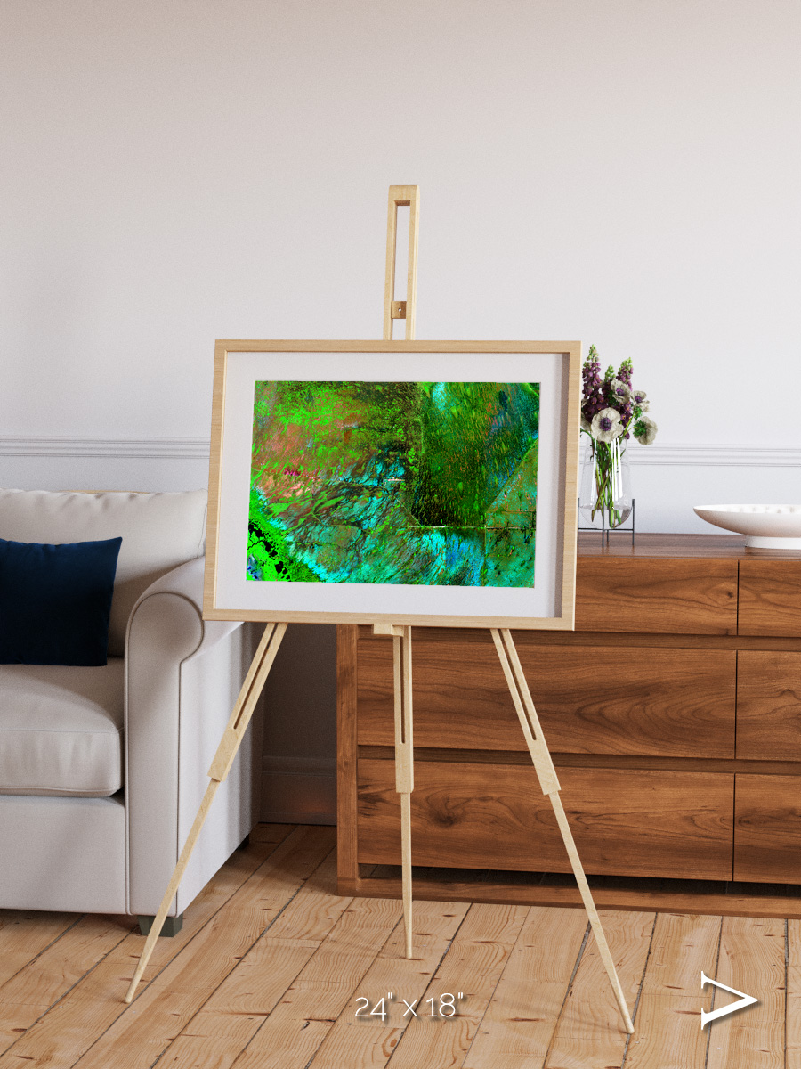 Linear Dunes, Florida Everglades Framed & Mounted Print