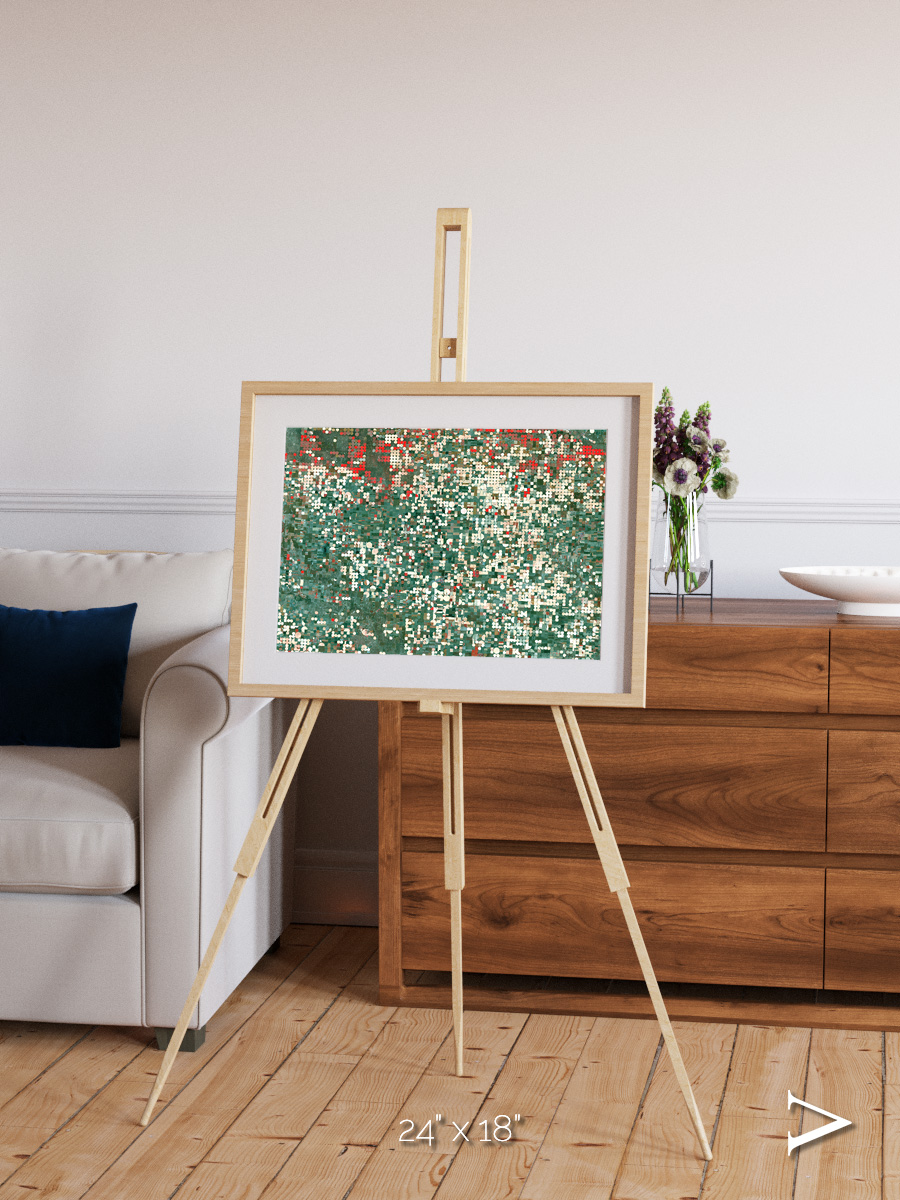 Patterns of Growth, Garden City Framed & Mounted Print