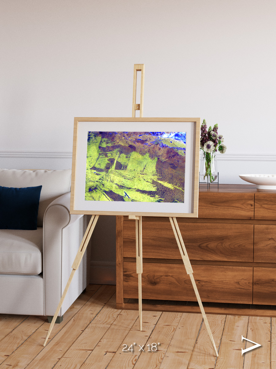 Lake Lines, Lake Amadeus Framed & Mounted Print