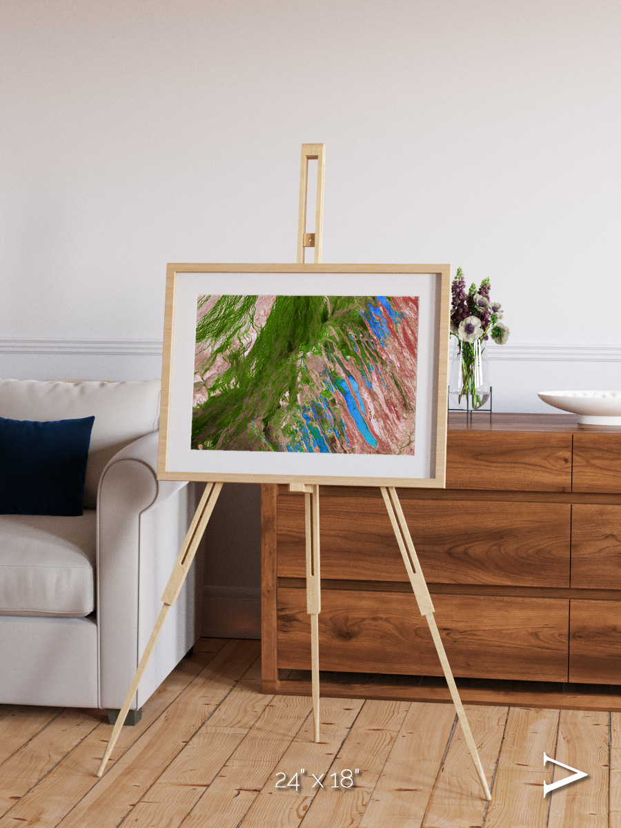 Desert Bloom, Lake Eyre Basin Framed & Mounted Print