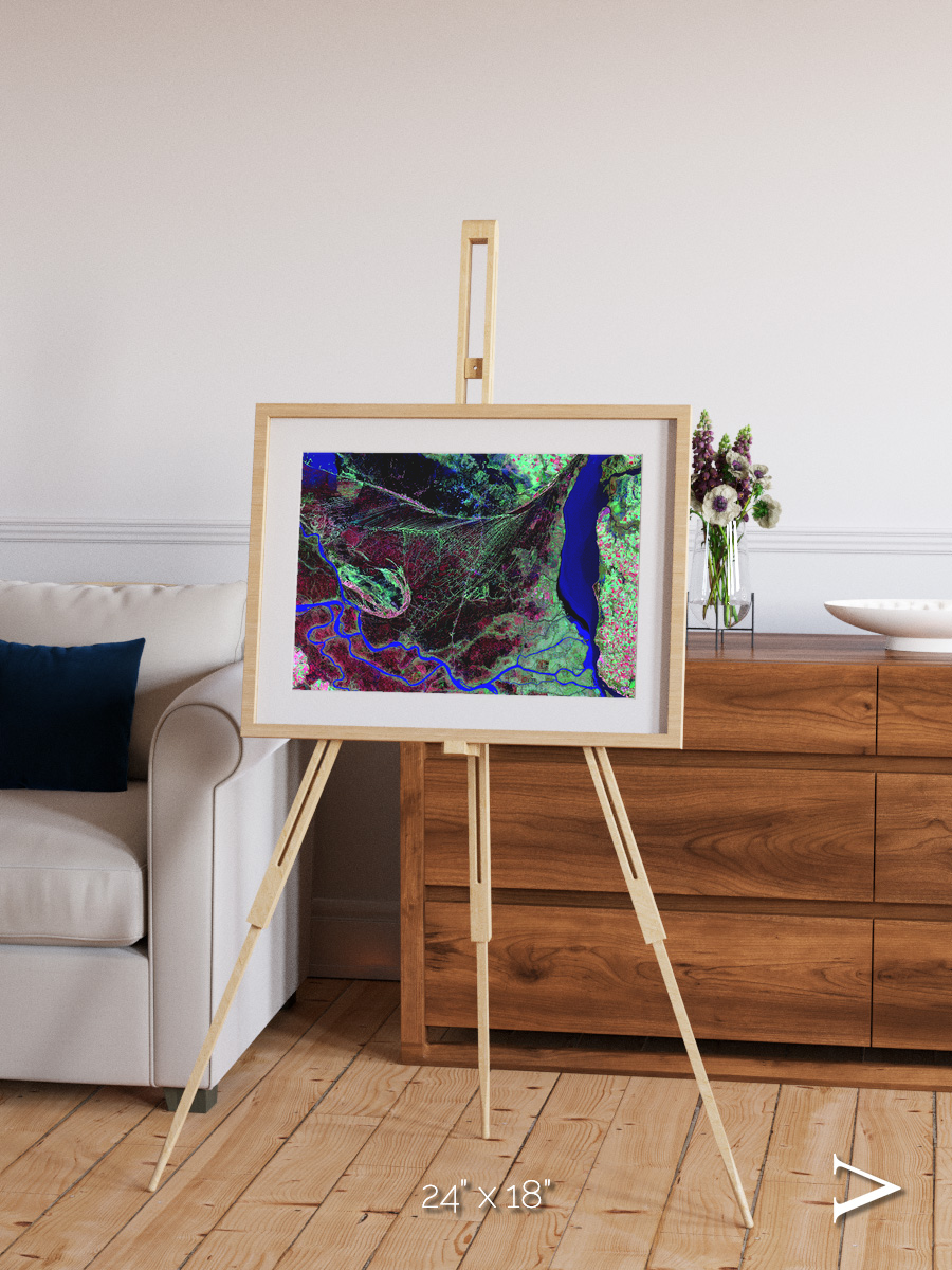 Braided Delta, Parana River Delta Framed & Mounted Print