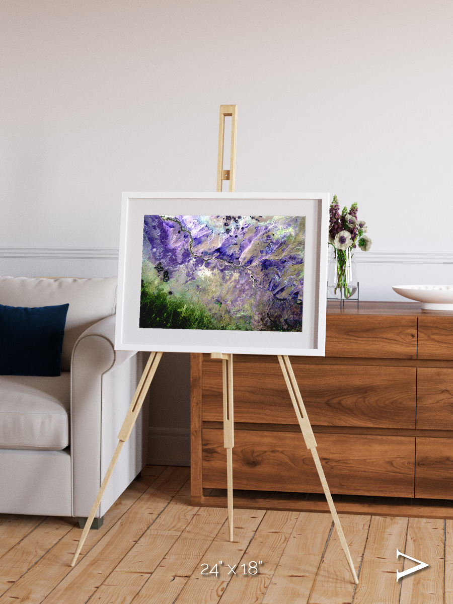 Arid Mosaic, Desert to Forest Framed & Mounted Print