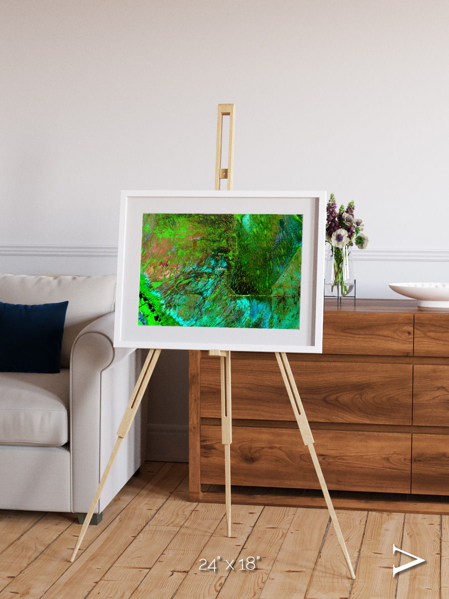 Linear Dunes, Florida Everglades Framed & Mounted Print