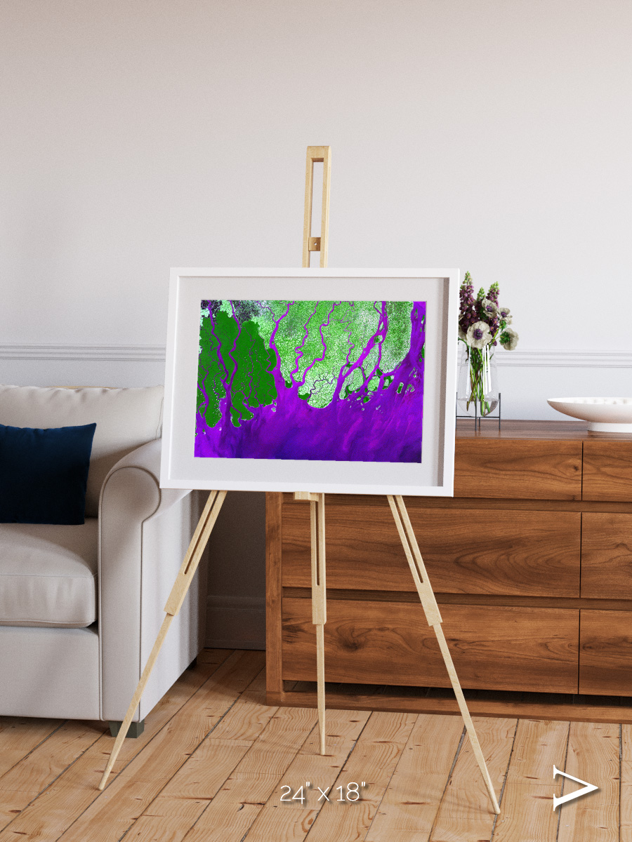 Delta Mosaic, Ganges River Delta Framed & Mounted Print