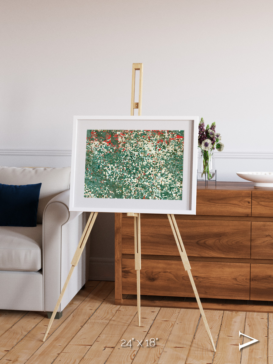 Patterns of Growth, Garden City Framed & Mounted Print