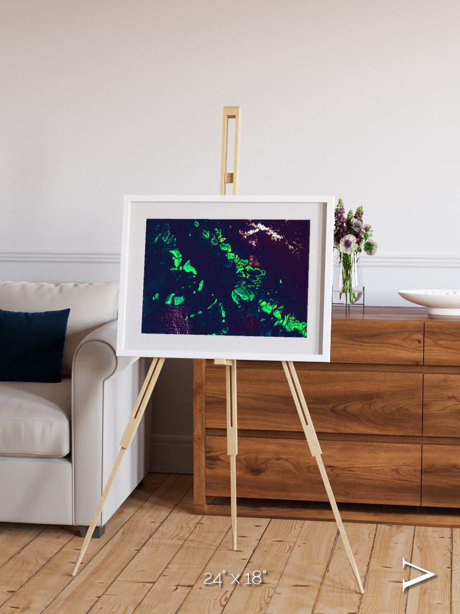 Patterned Ground, Great Barrier Reef Framed & Mounted Print