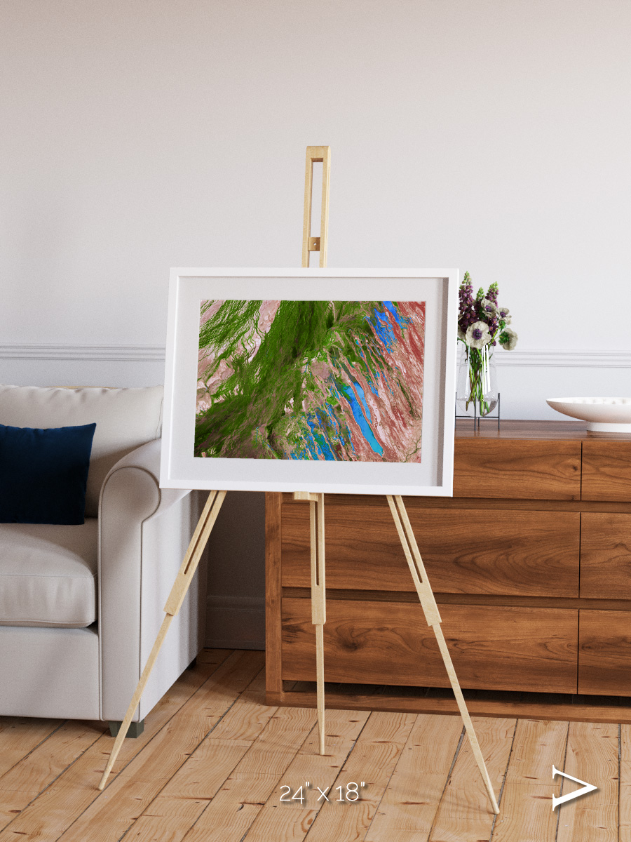 Desert Bloom, Lake Eyre Basin Framed & Mounted Print