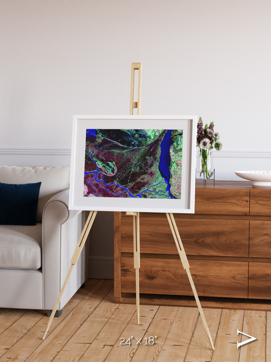 Braided Delta, Parana River Delta Framed & Mounted Print