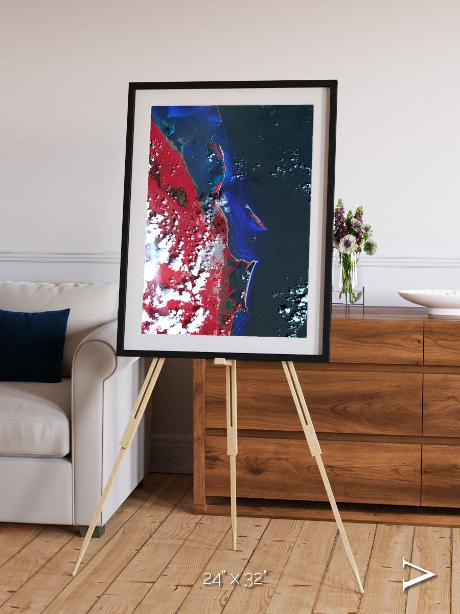 Living Edge, Cancun Framed & Mounted Print