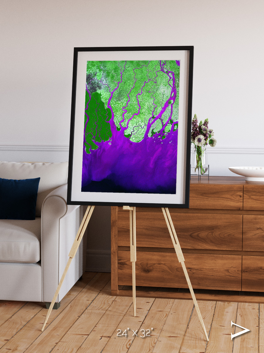 Delta Mosaic, Ganges River Delta Framed & Mounted Print