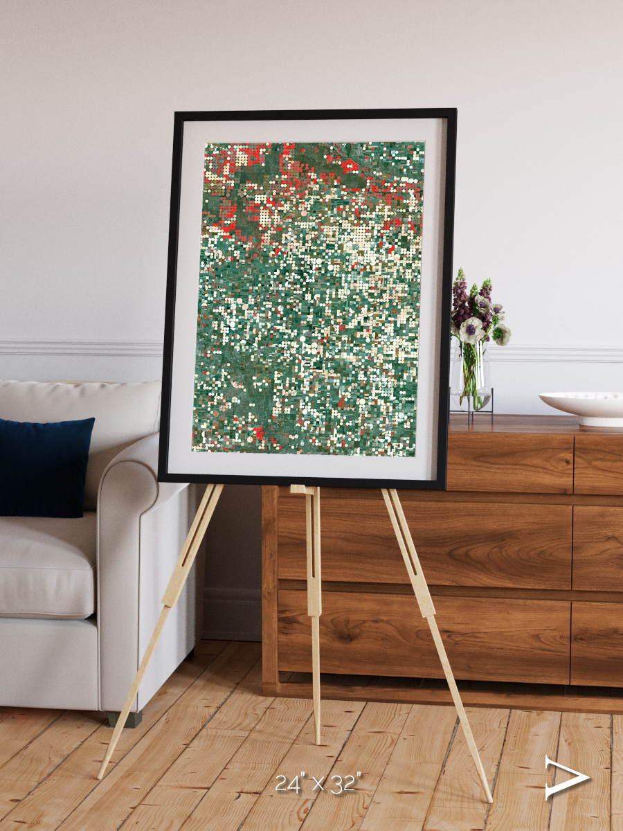 Patterns of Growth, Garden City Framed & Mounted Print