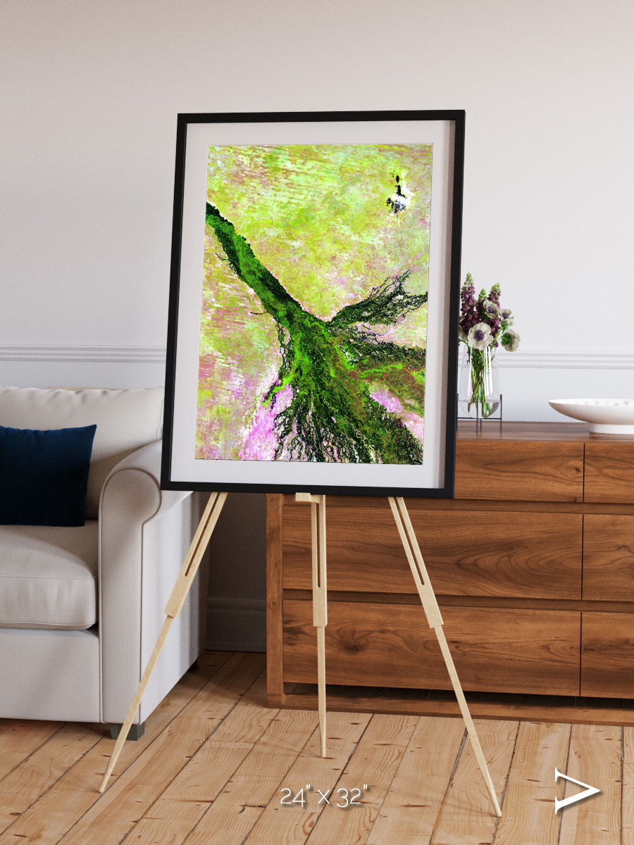Inland Bloom, Okavango Framed & Mounted Print