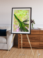 Inland Bloom, Okavango Framed & Mounted Print