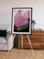 Monsoon Divide, Dhofar Framed & Mounted Print