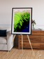 Delta Mosaic, Volga River Delta Framed & Mounted Print