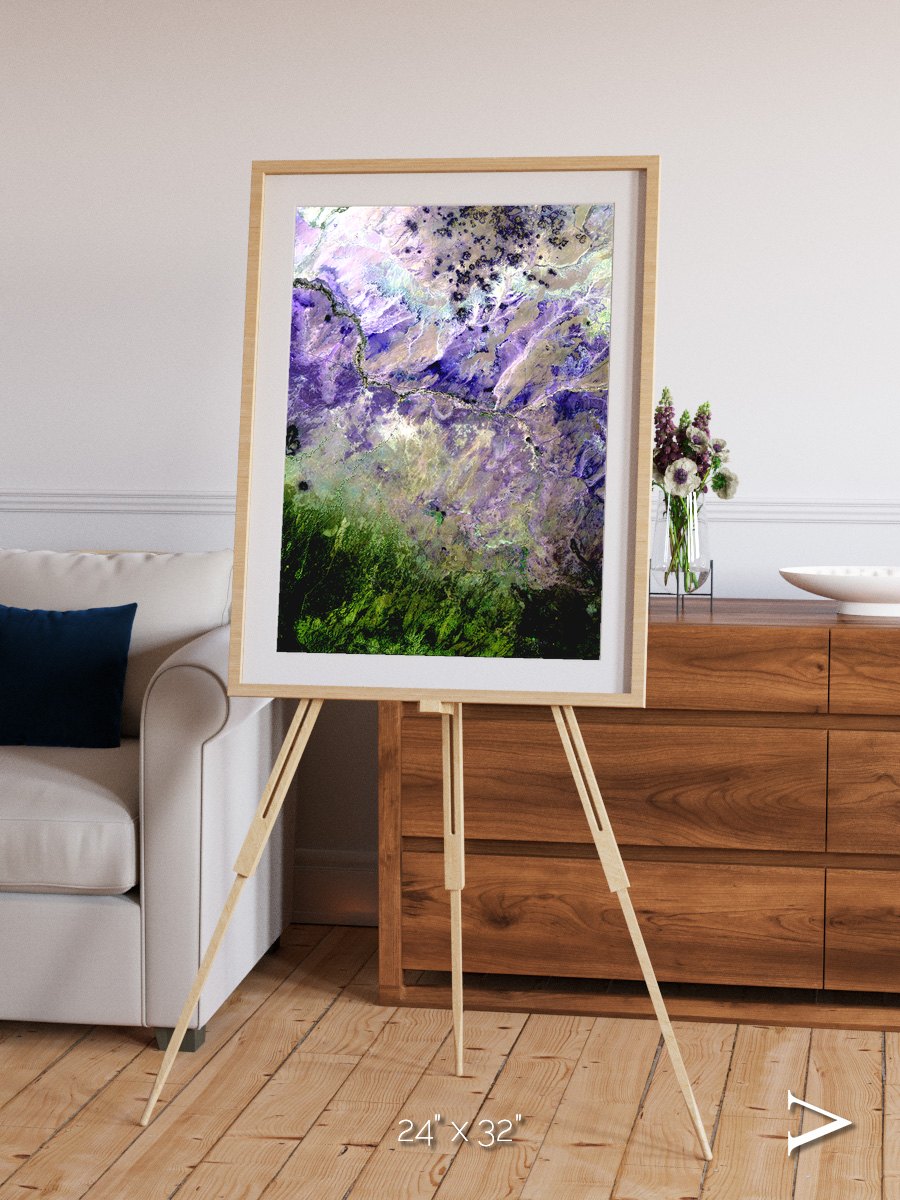 Arid Mosaic, Desert to Forest Framed & Mounted Print