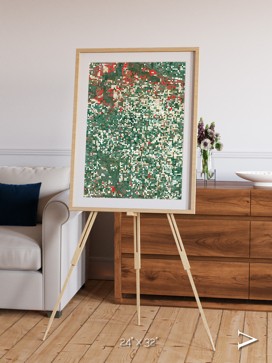 Patterns of Growth, Garden City Framed & Mounted Print