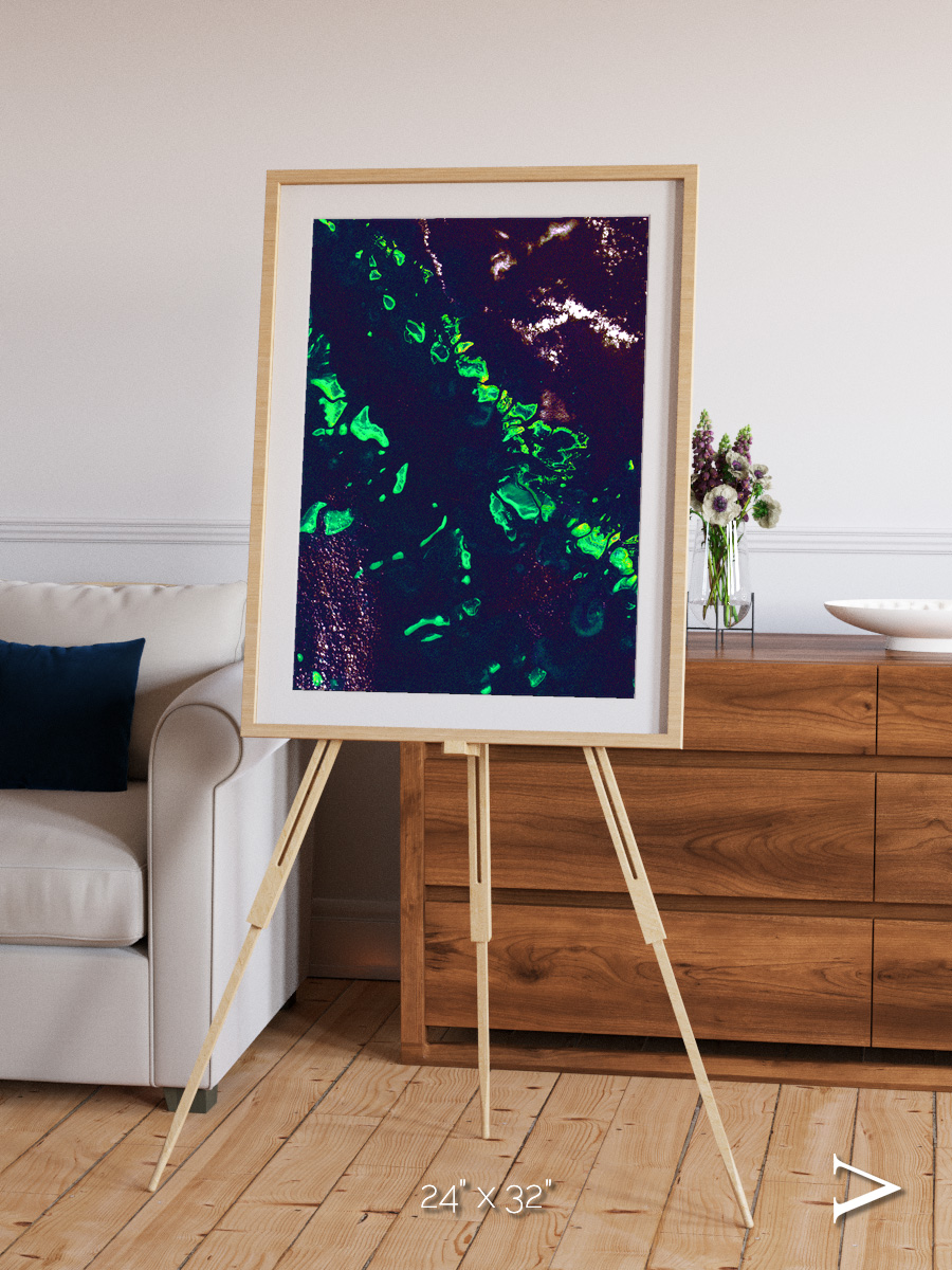 Patterned Ground, Great Barrier Reef Framed & Mounted Print