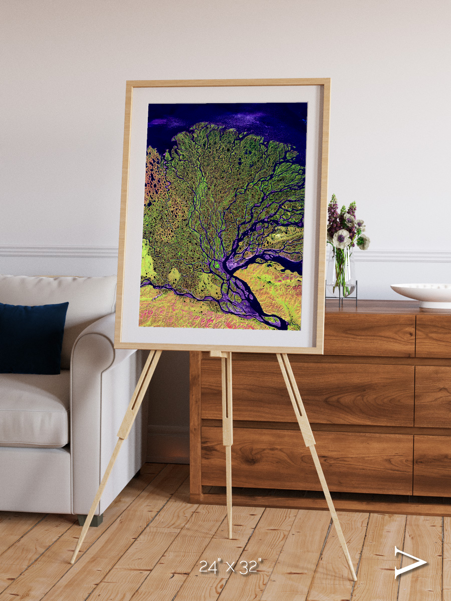 Delta Mosaic, Lena Delta Framed & Mounted Print