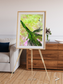 Inland Bloom, Okavango Framed & Mounted Print