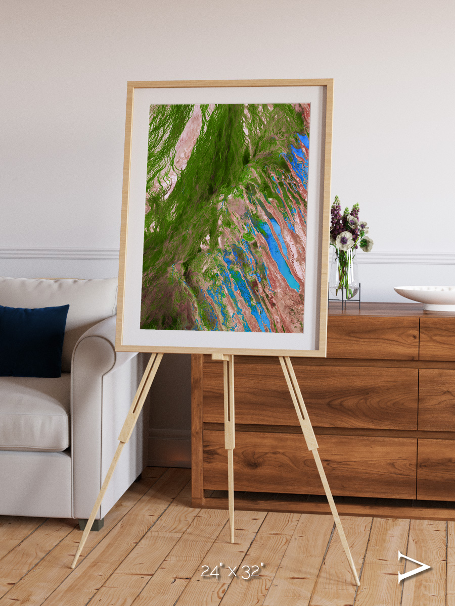 Desert Bloom, Lake Eyre Basin Framed & Mounted Print