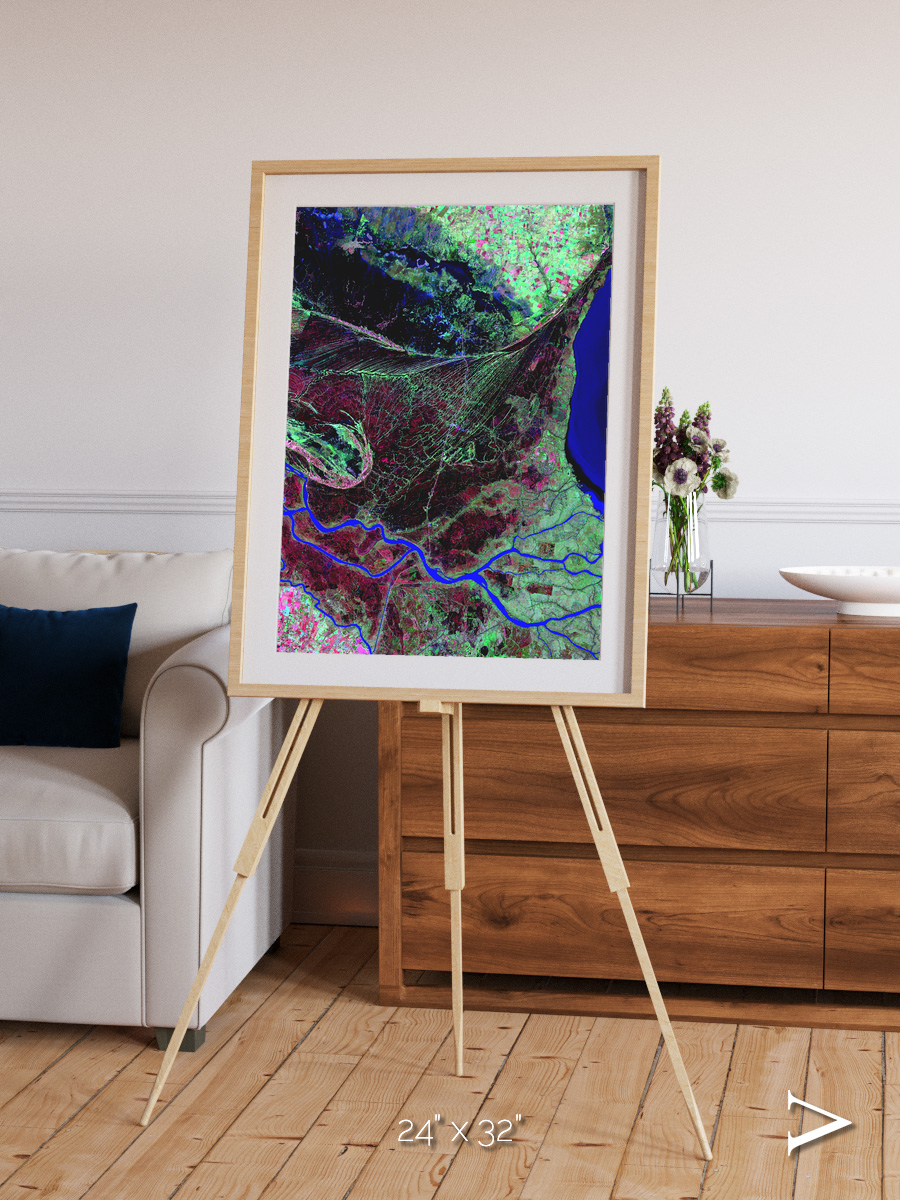 Braided Delta, Parana River Delta Framed & Mounted Print