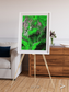Ribbon River, Araca River Framed & Mounted Print