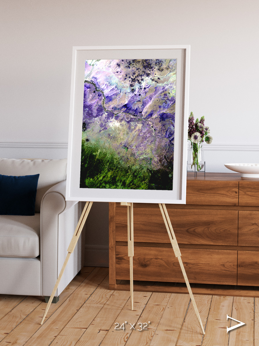 Arid Mosaic, Desert to Forest Framed & Mounted Print