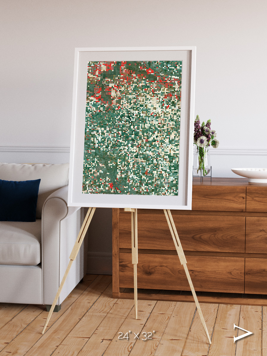 Patterns of Growth, Garden City Framed & Mounted Print