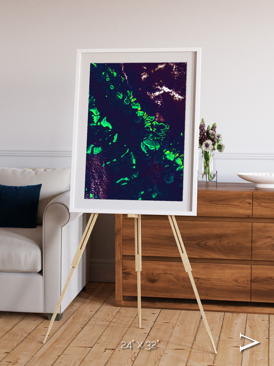 Patterned Ground, Great Barrier Reef Framed & Mounted Print