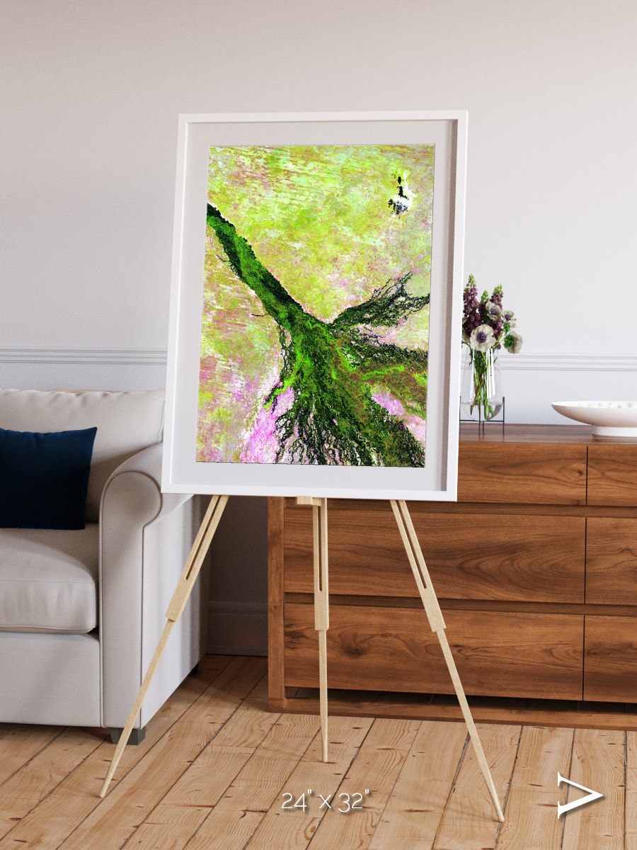 Inland Bloom, Okavango Framed & Mounted Print