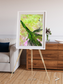 Inland Bloom, Okavango Framed & Mounted Print