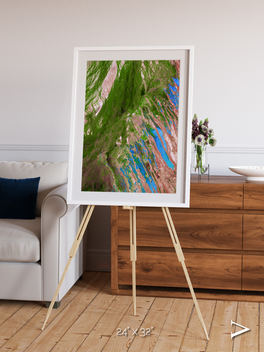 Desert Bloom, Lake Eyre Basin Framed & Mounted Print
