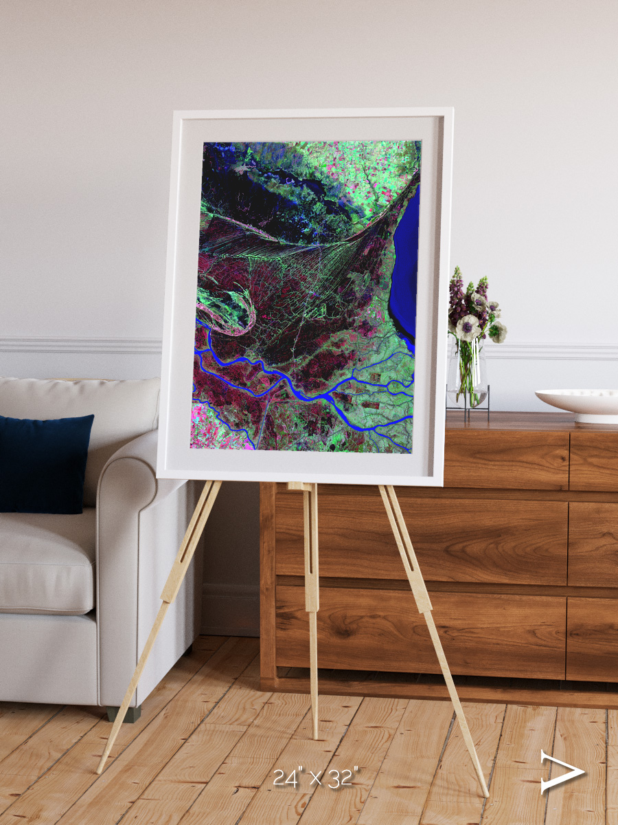 Braided Delta, Parana River Delta Framed & Mounted Print